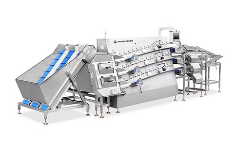 Innovative Development of Multi-Channel Unordered Material Sorting by Hanlee Automation