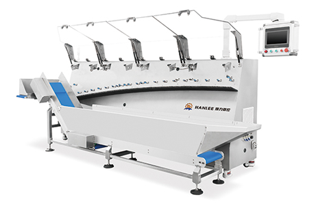 How to Choose a Suitable Unordered Material Sorting Machine