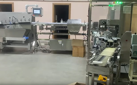 Unordered Material Sorting Machine Paired with Cartoning Machine Doubles Production Efficiency